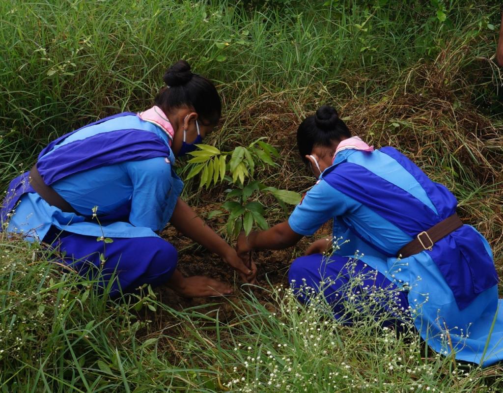 Cyclone Disaster Management Service work