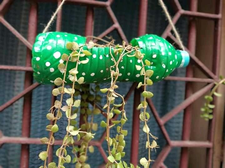 विश्व शांति दिवस 21 सितंबर 2020 के कार्यक्रम