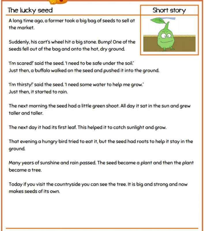 IDP(8.7)PEACE PANTRY OF SHARING/ZERO HUNGER