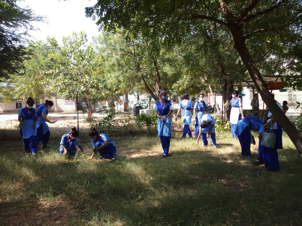 नेशनल ग्रीन कोर योजनांतर्गत गोद लिए पार्क में लगाये गए 50 से अधिक पौधों को रोवर्स रेंजर्स ने पानी पिलाया