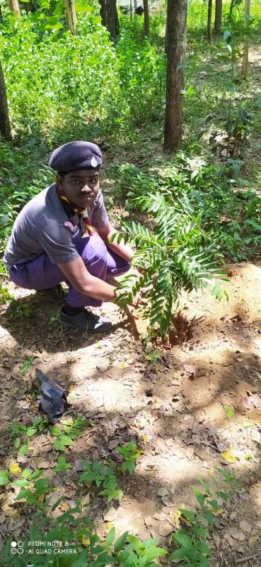 TREE PLANTING IN WORLD SCARF DAY