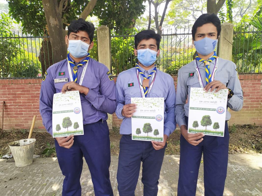Tree Plantation