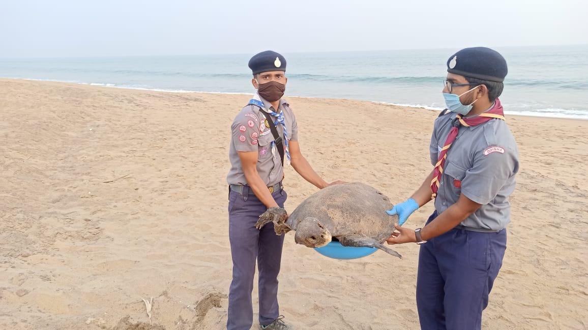 Beach clean  program 