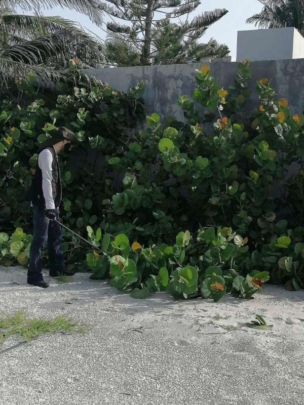 Rescate de Zona Naturales Protegidas Guardianes de la Laguna al cuidado del Medio Ambiente