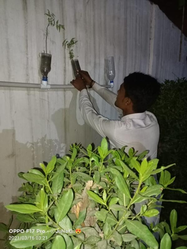 go green challenge