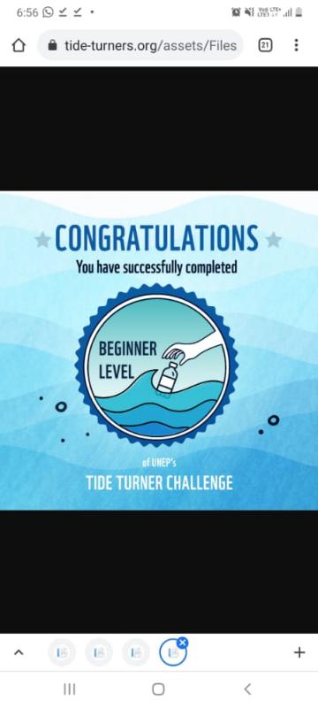 Tide Turner Plastic Challenge