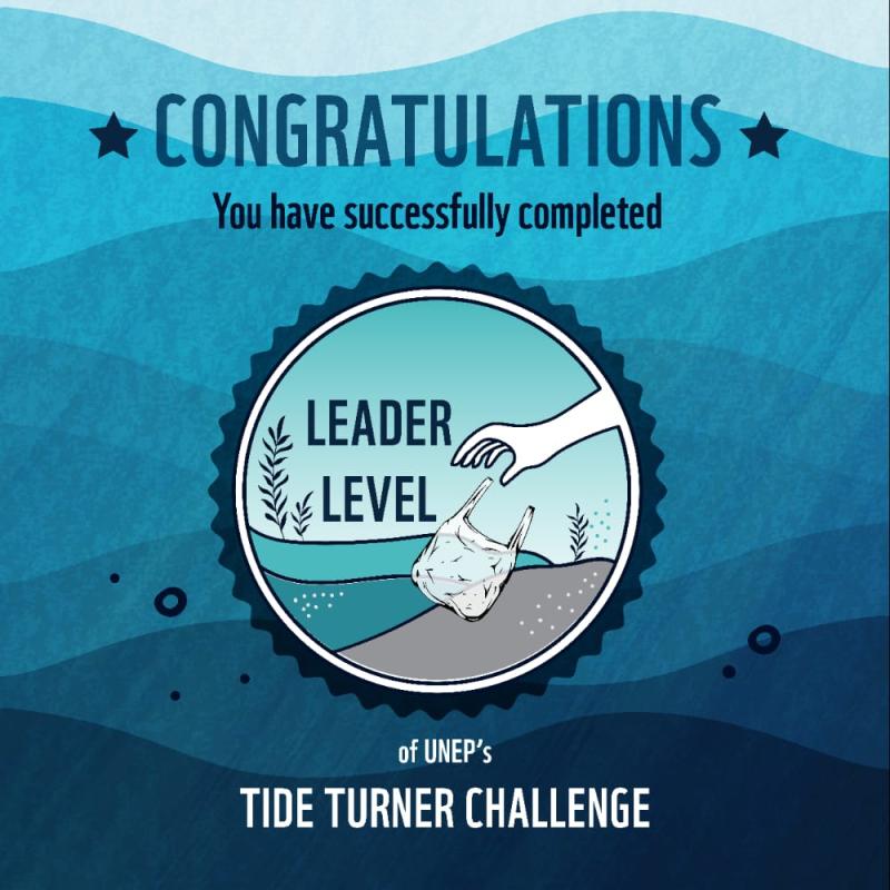 Plastic Tide Turner Plastic Challenge