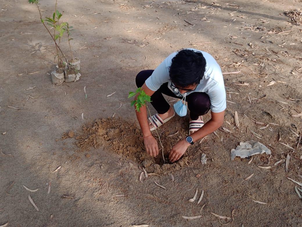 plantation for save the environment by dararat green club