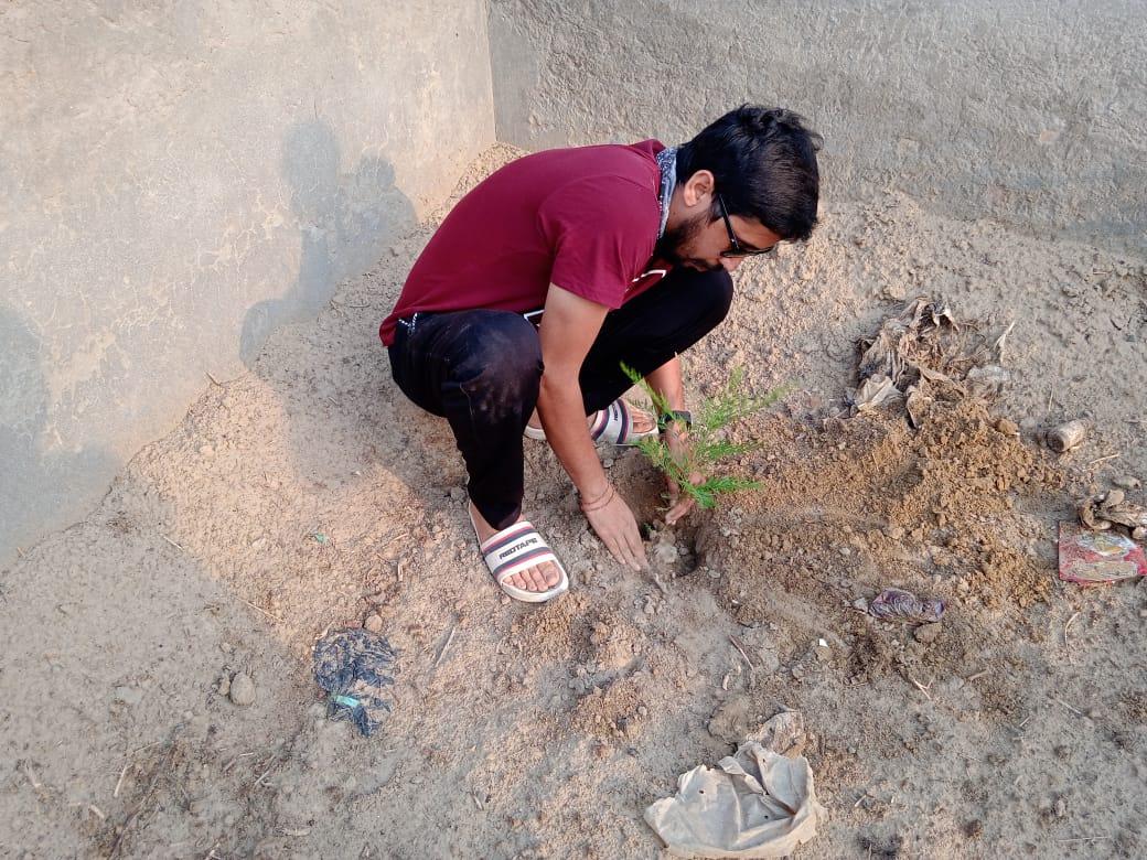 plantation for save the environment by dararat green club