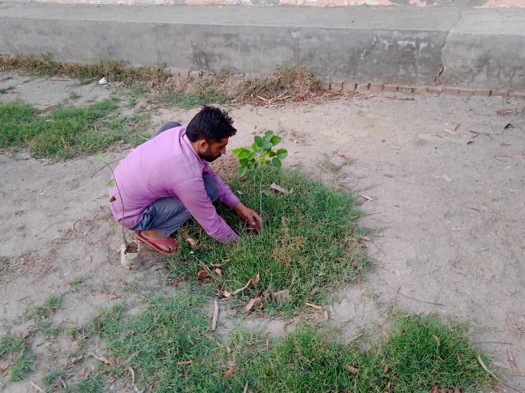 plantation for save the environment by dararat green club