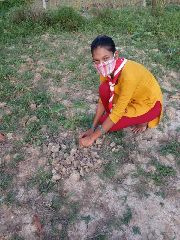 PLANTATION