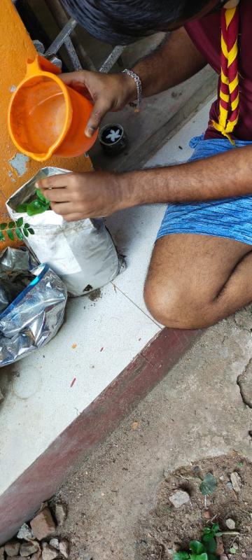 Plantation during lockdown