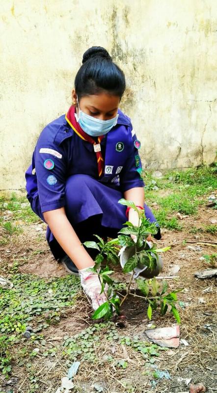 If you plant a tree you plant a life. 