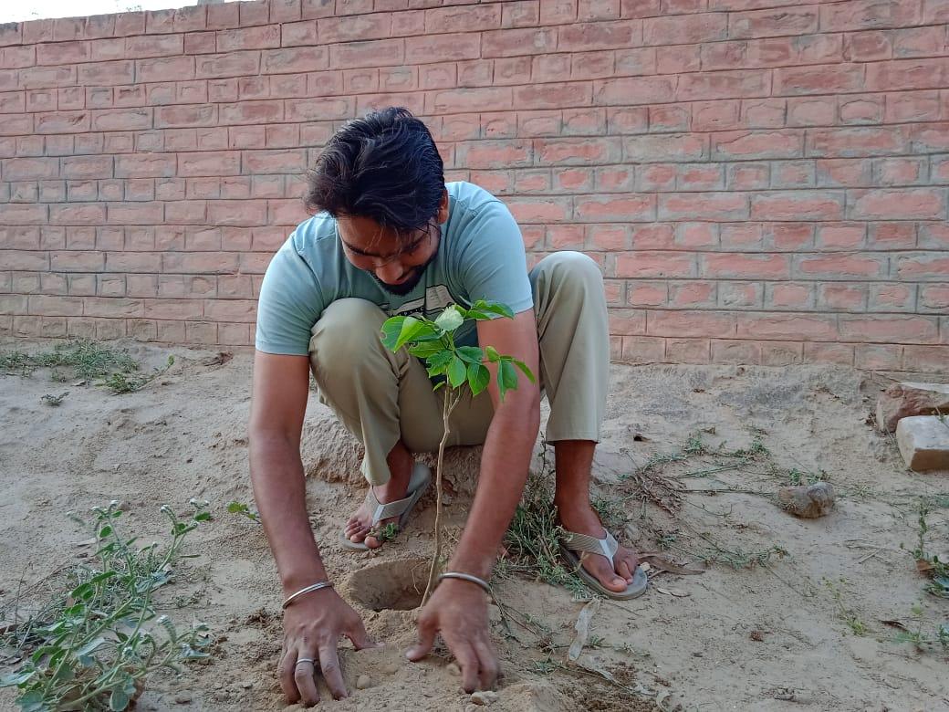plantation for save the environment by dararat green club