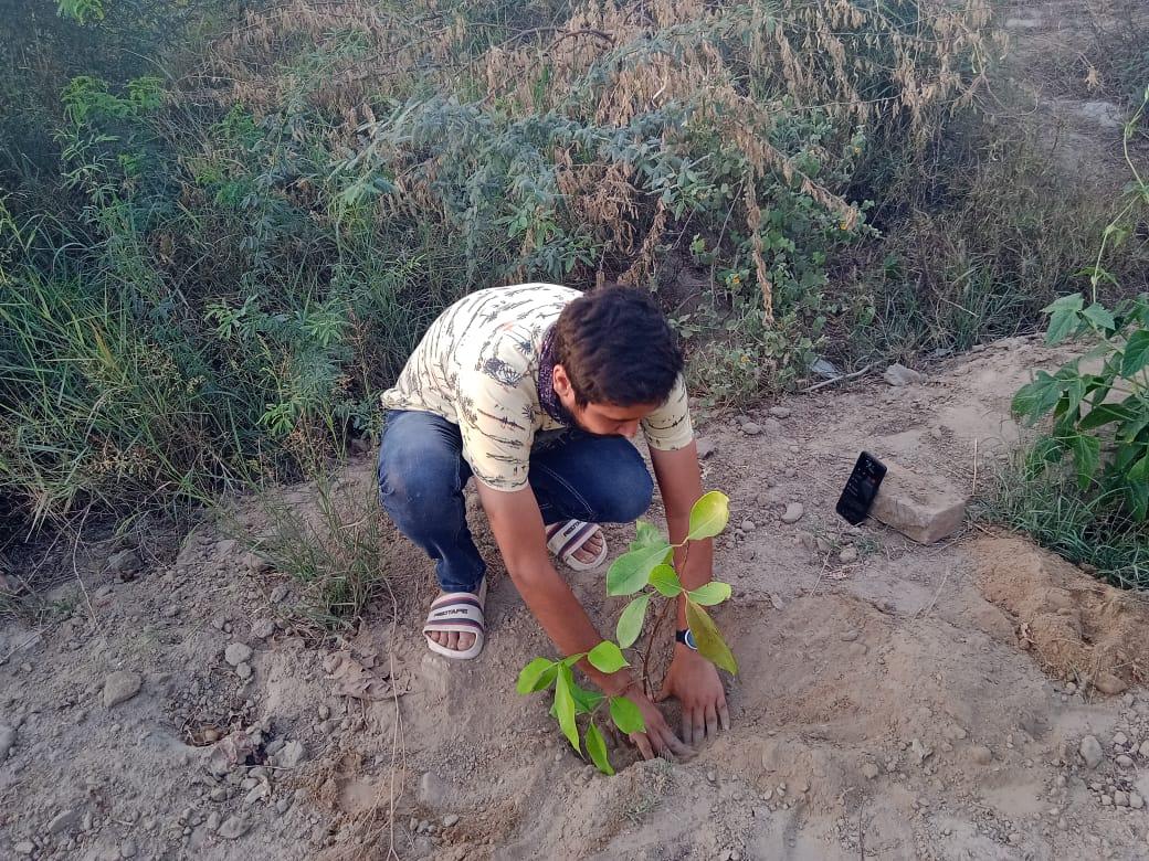 plantation for save the environment by dararat green club at India
