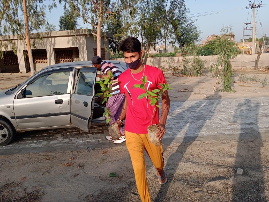 plantation for save the environment by dararat green club
