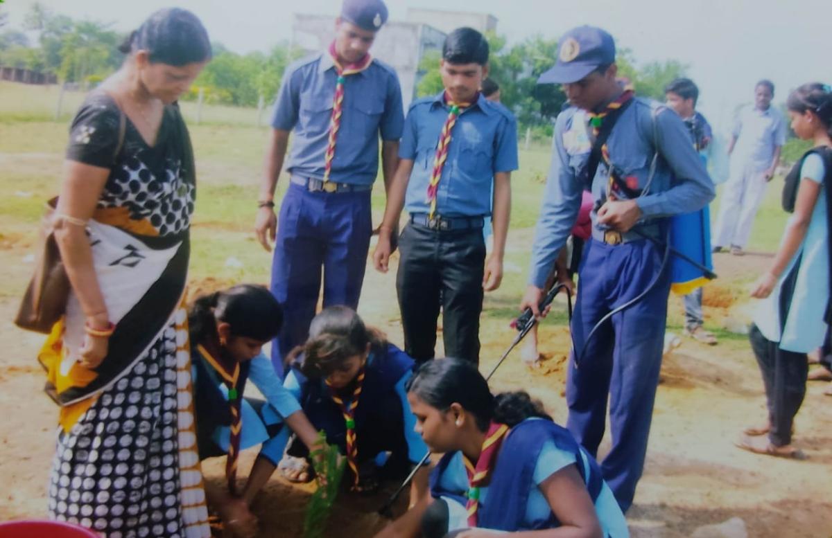 Plantation Programme