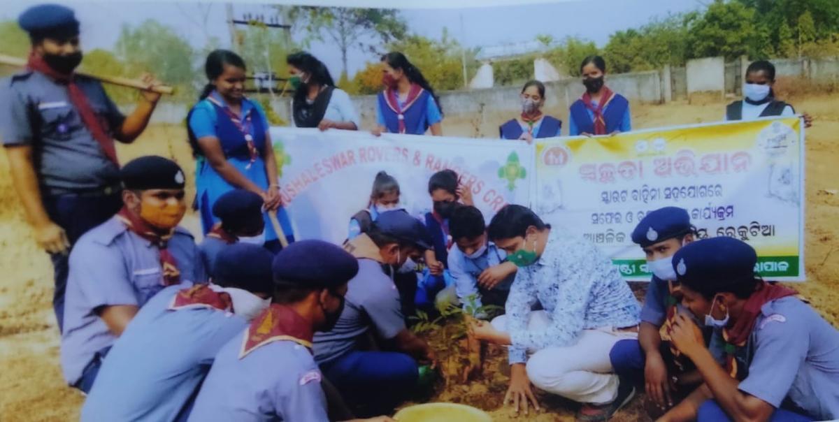 Plantation programme