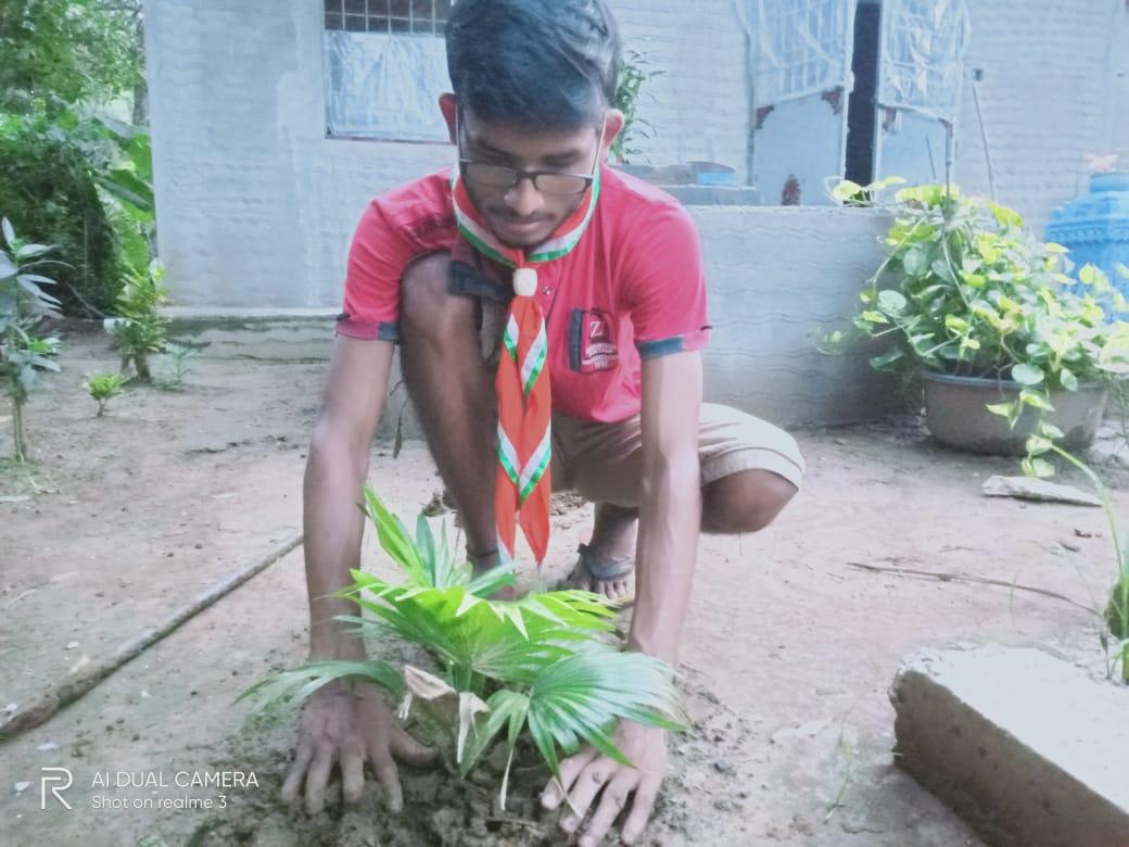 ENVIRONMENTAL DAY CELEBRATION BY PLANTING TREES