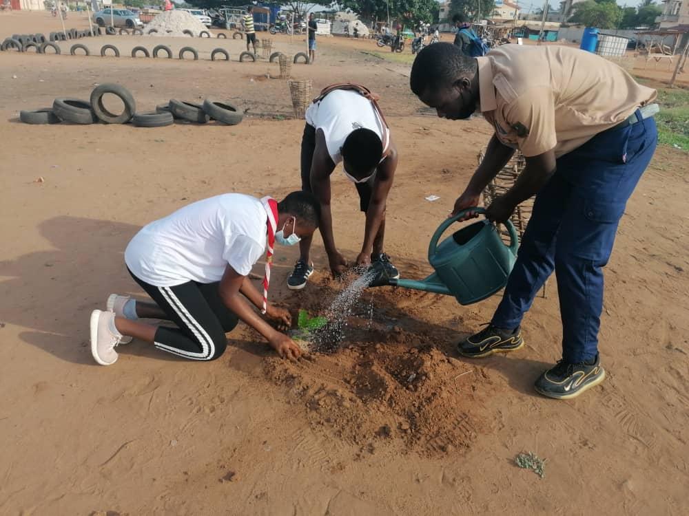 Les Scouts du Togo mettent à terre 150 plants le 1er Juin 2021