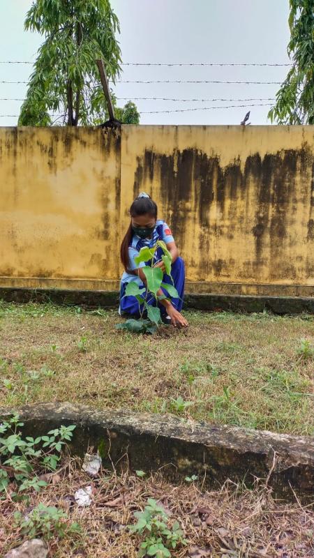 World environment day