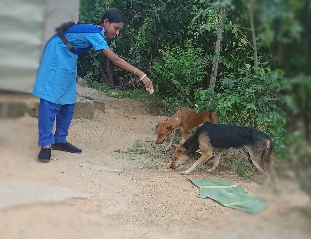 Friendship with animal 