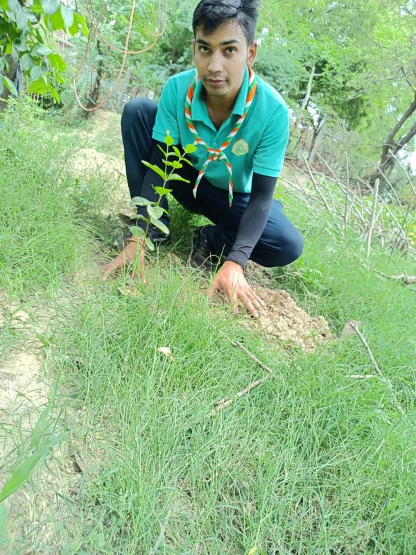 Save trees Save nature