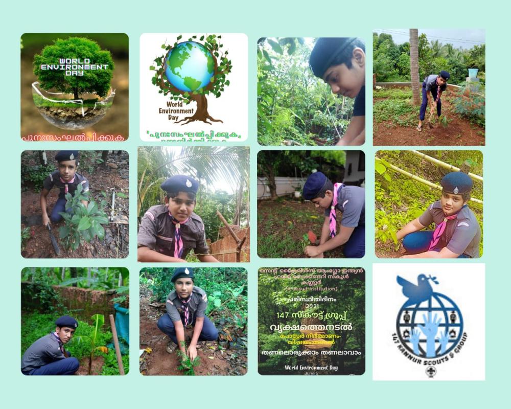 environment day programme