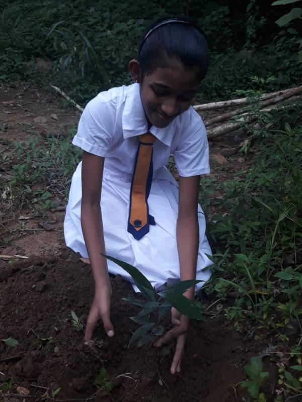 World Environment day Tree planting Campaign 