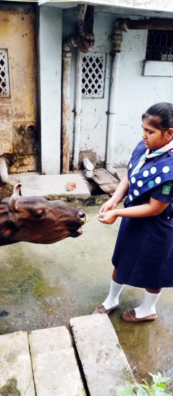 SANKALAP 2.0 ACTIVITY 6 FRIENDS TO BIRD 