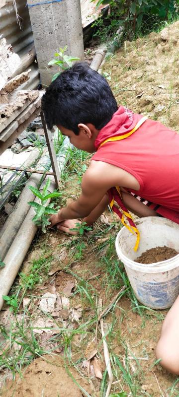 Plantation during lockdown