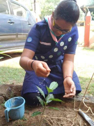 SANKALP 2.0 ACTIVITIY 5 - MY LOCKDOWN GARDEN