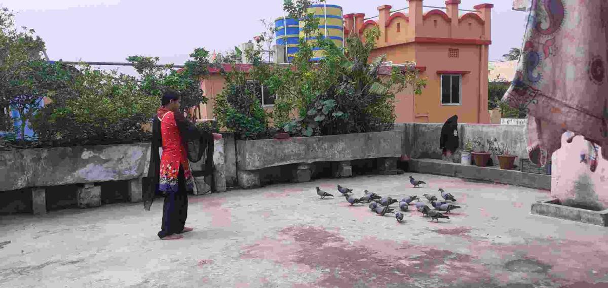 Sankalp 2.0 Activity 6