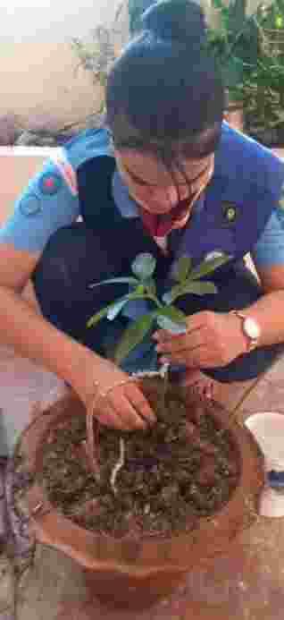 Sankalp 2.0 Activity 5