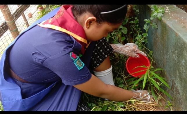 Plant a tree , get oxygen at free.