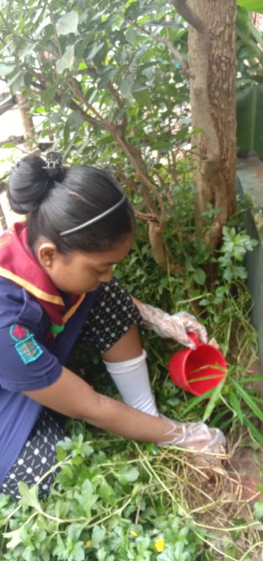 A plantation a day , keeps the carbon dioxide away.