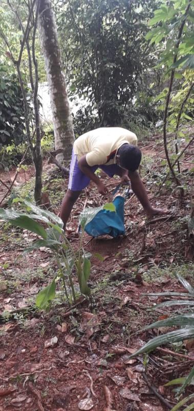 Dengu Control program in Kosgama m.v scouts kosgama Sri Lanka