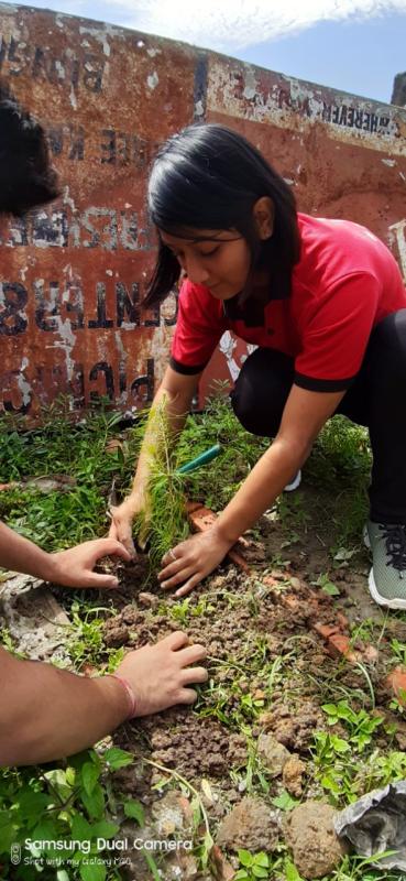 Plantation Program