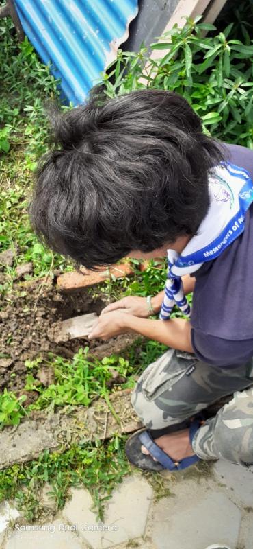 Plantation program in international peace day