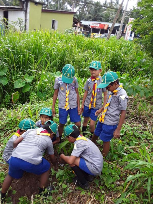 International Day Of Peace 2019 - Tree Planting Program Organized by Horagasmulla Primary School Cub Scout Pack in Sri Lanka Scout Association Negombo District Branch