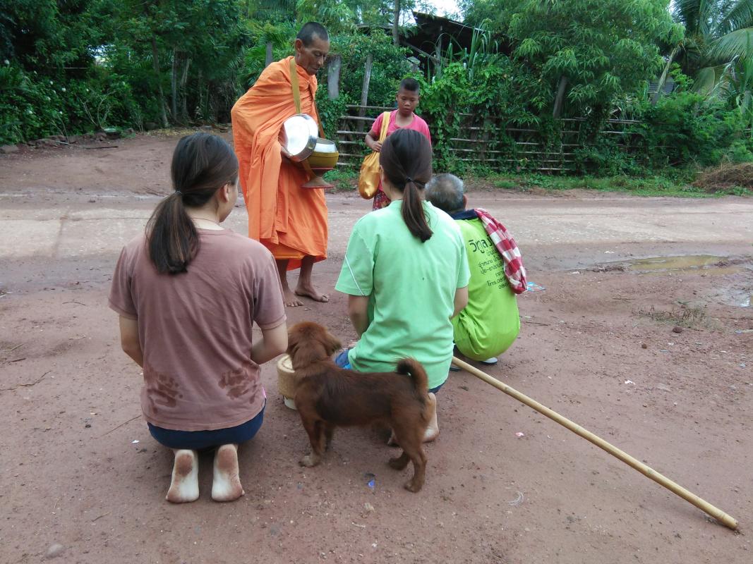 ใส่บาตรทำบุญ