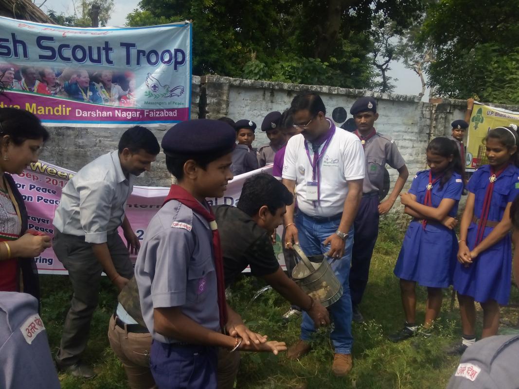 IDP 16 Plants for Peace