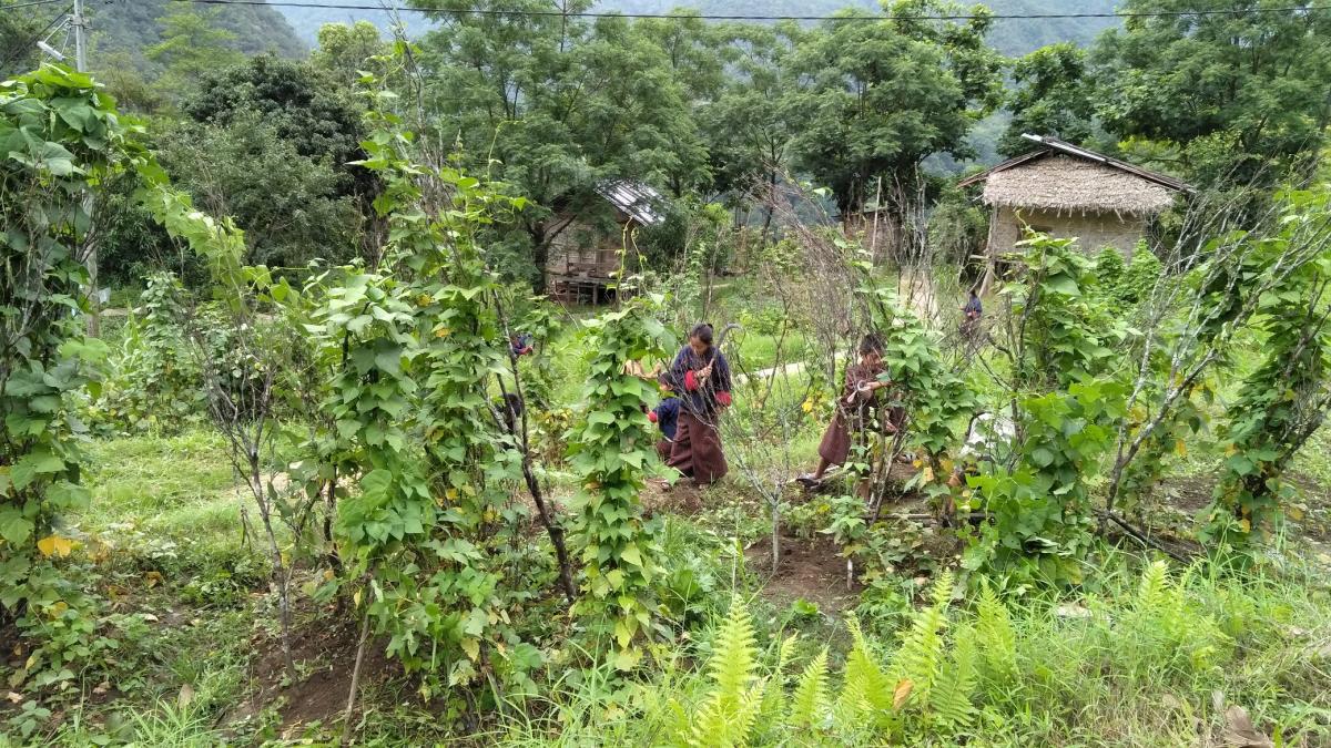 Sustainable agriculture