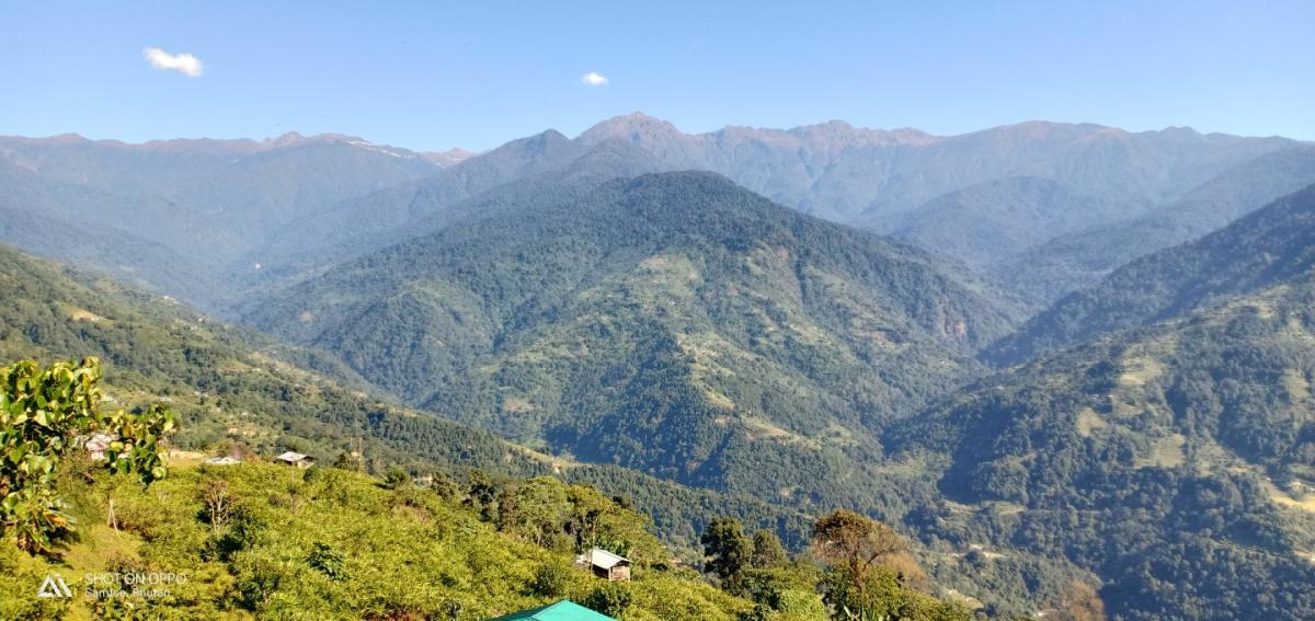 Clearing and cleaning of Local Monastery
