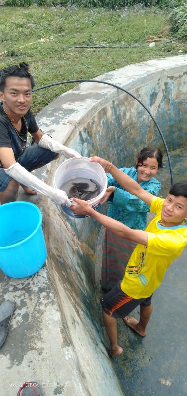 volunteering at TALI DRATSHANG