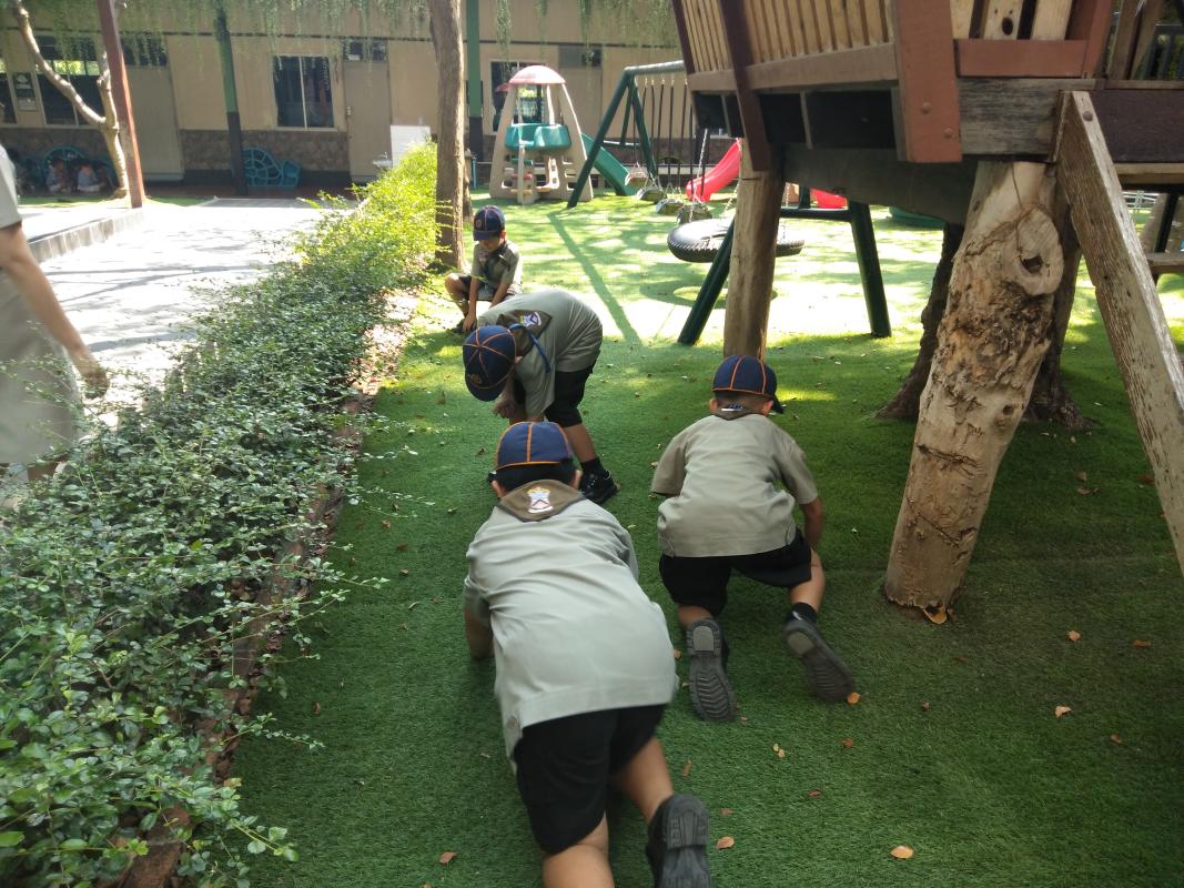 เก็บขยะ