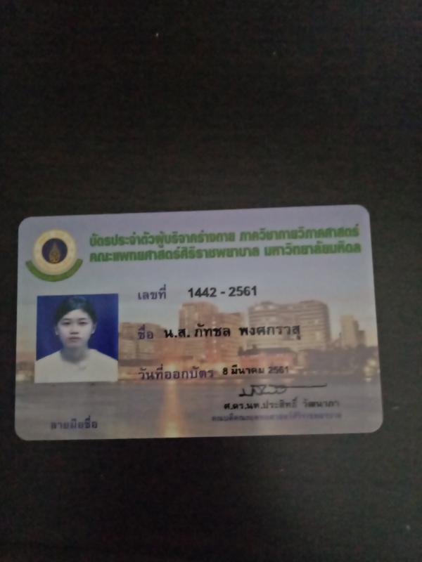 บริจาคร่างกาย