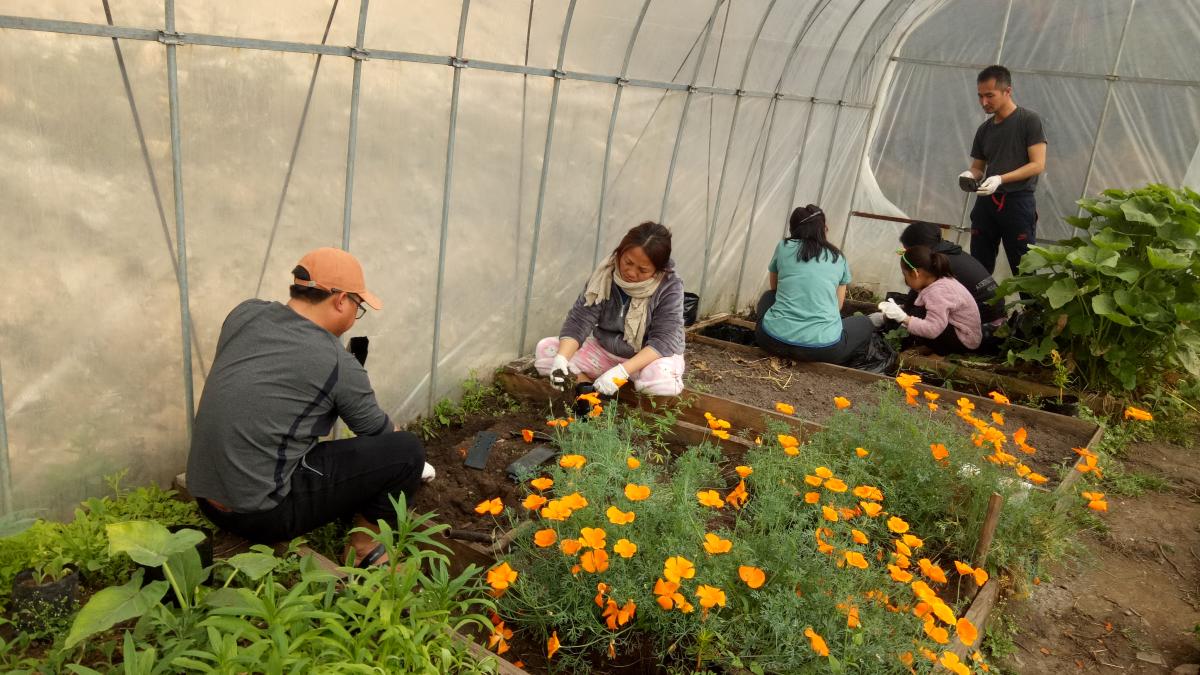 Flower plantation