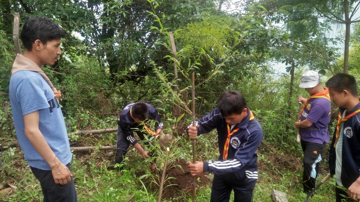 Tashitse Scouts observed Social Forestry Day
