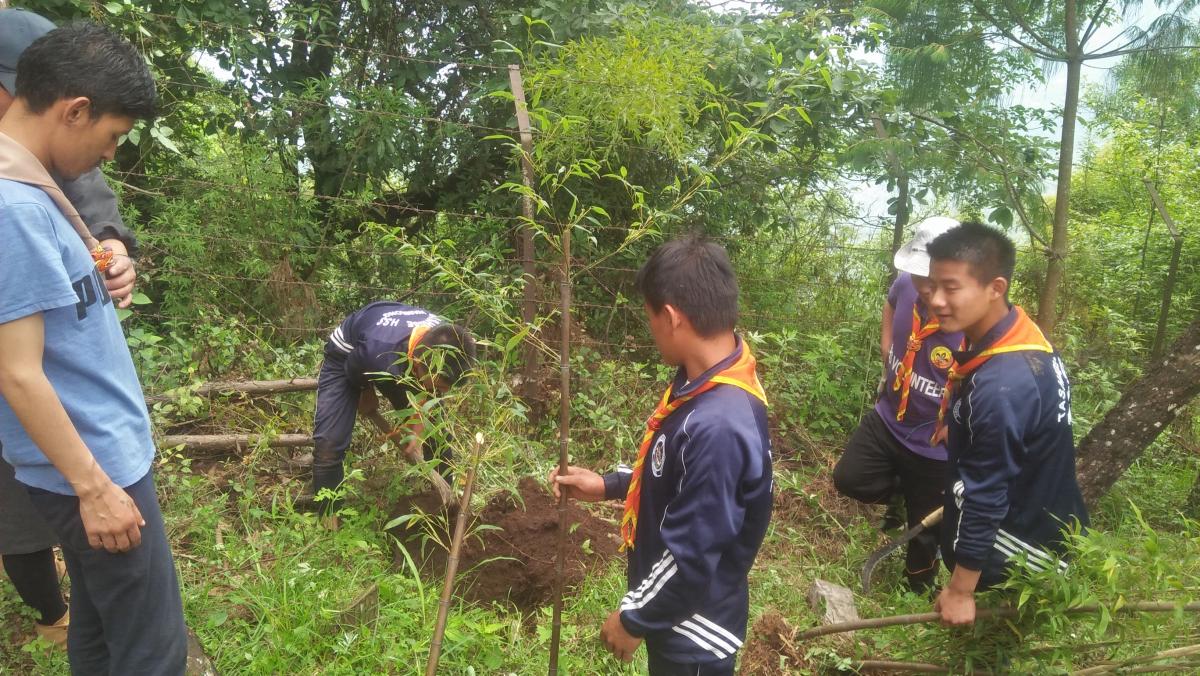 Plantation on Social Forestry Day.